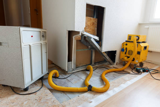 Best Mold Documentation for Insurance Claims  in Baidland, PA