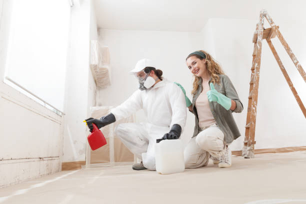 Best Air Quality Testing for Mold Spores  in Baidland, PA