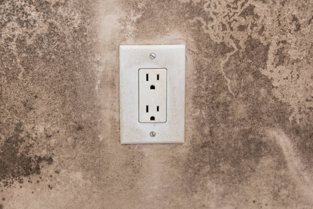 Best Mold Odor Removal Services  in Baidland, PA